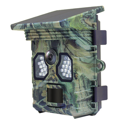 Gear Gear Racoon Solar 4K Camera sauvage