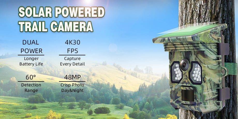 Gear Gear Racoon Solar 4K Camera sauvage