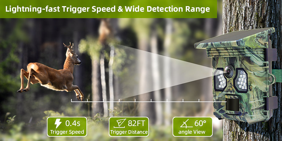Gear Gear Racoon Solar 4K Camera sauvage