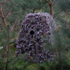 Buteo Photo Gear Buteo Photo Gear Gear Hybrid Camouflaget Natural Green 1,5x3 M