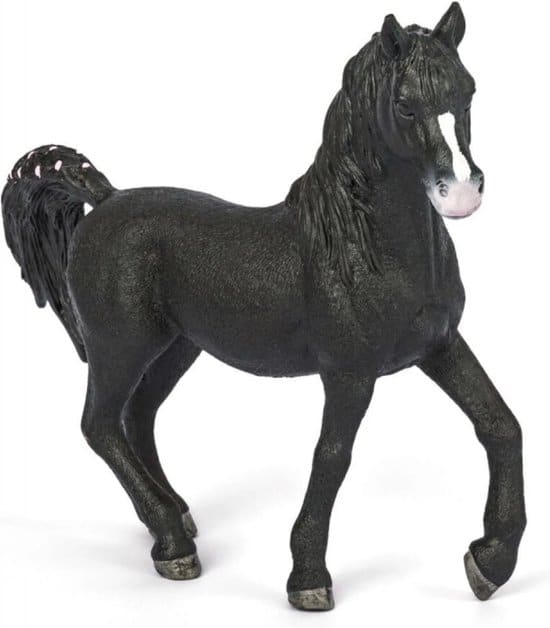 Abi Horse Arabian Stallion 72134