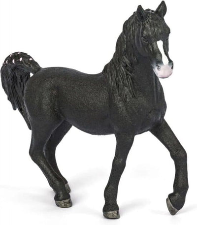 Abi Horse Arabian Stallion 72134