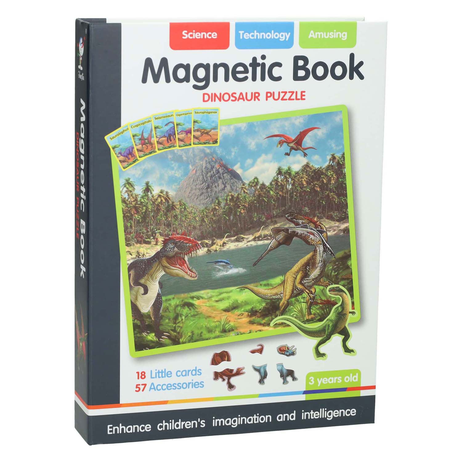 Boîtier magnétique Dino