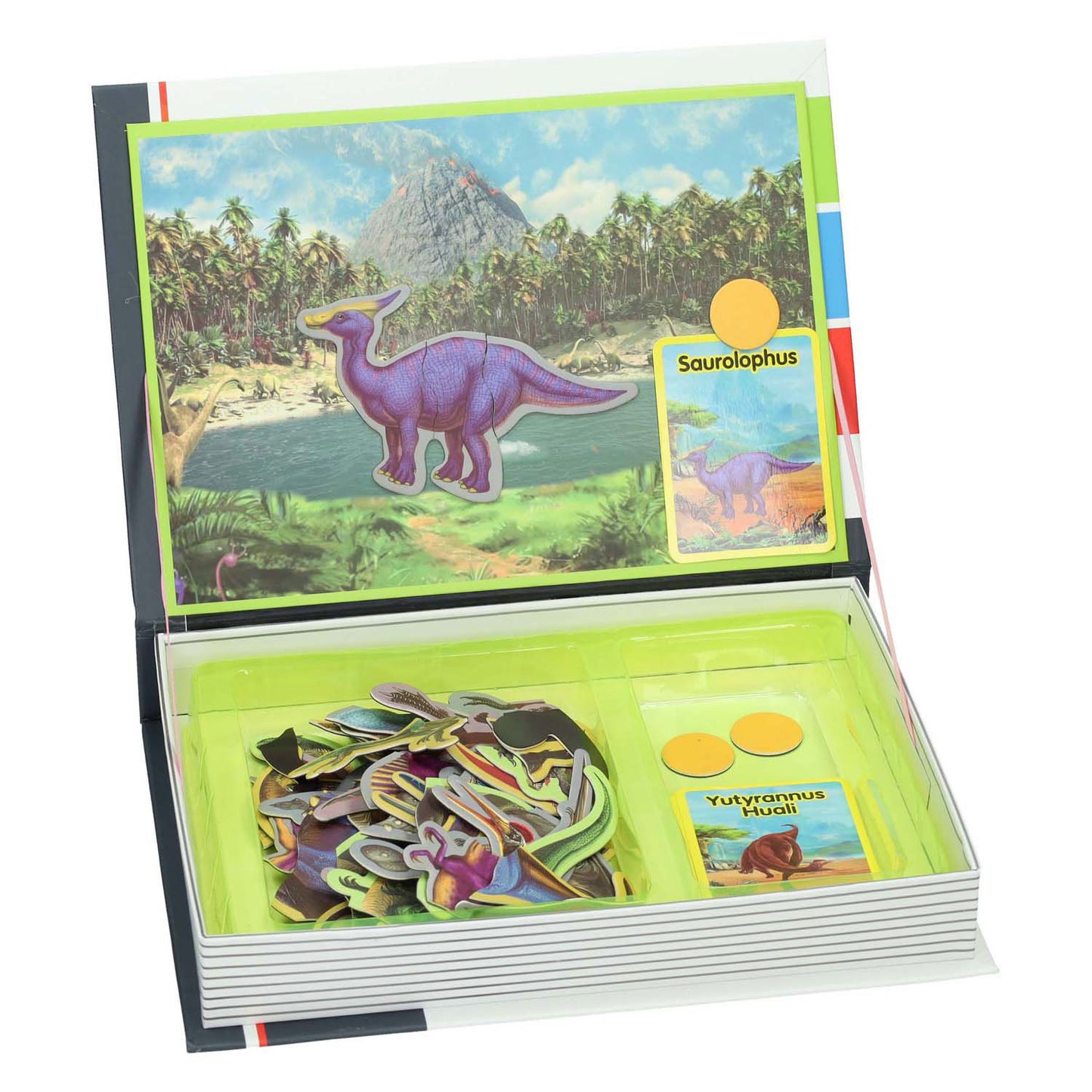 Boîtier magnétique Dino