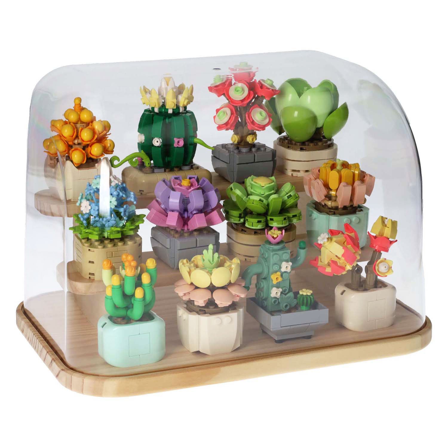 Blocs de construction mis en vitrine de fleuriste