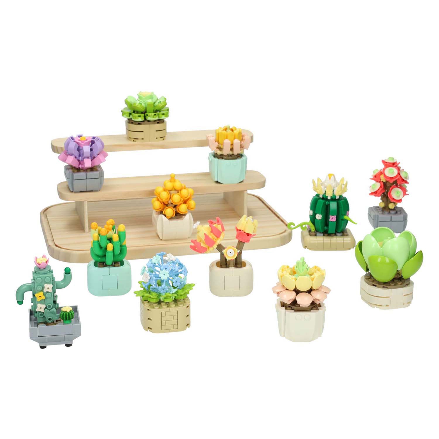Blocs de construction mis en vitrine de fleuriste