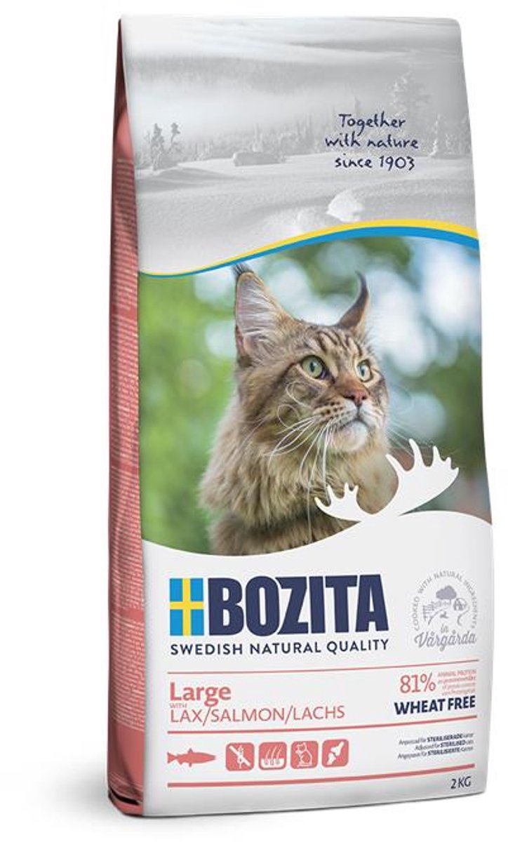 Bozita