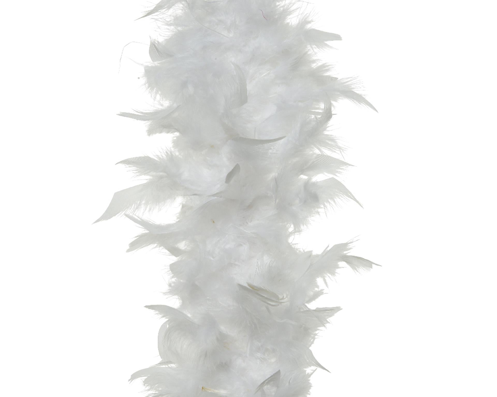 Decoris plume de boa blanc ø15x150cm