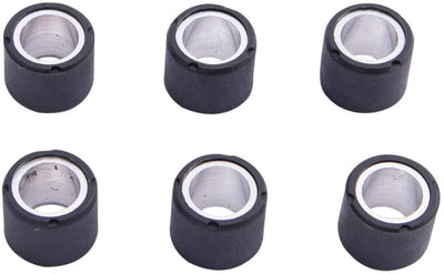 Jeu de noyaux de rouleaux de poids variomatic Spec-x 16 x 13 mm, 8,5 g, 6 pcs.