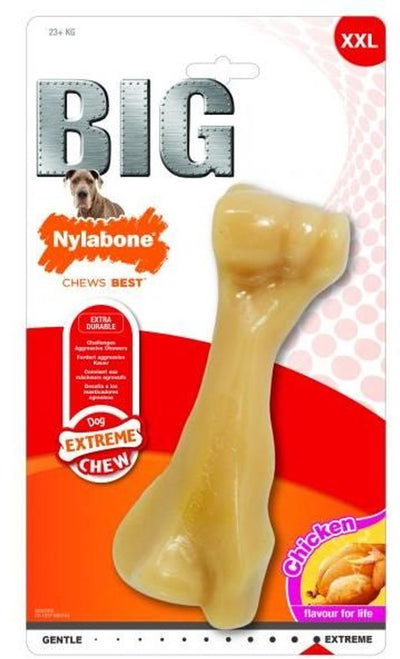 Nylabone Power mâcher du goût du poulet Hard Bijters