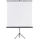 Écran de projection franken x-traline 150x150cm blanc