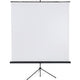 Écran de projection franken x-traline 200x200cm blanc