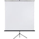 Écran de projection franken x-traline 220x220cm blanc