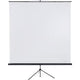 Écran de projection franken x-traline 240x240cm blanc