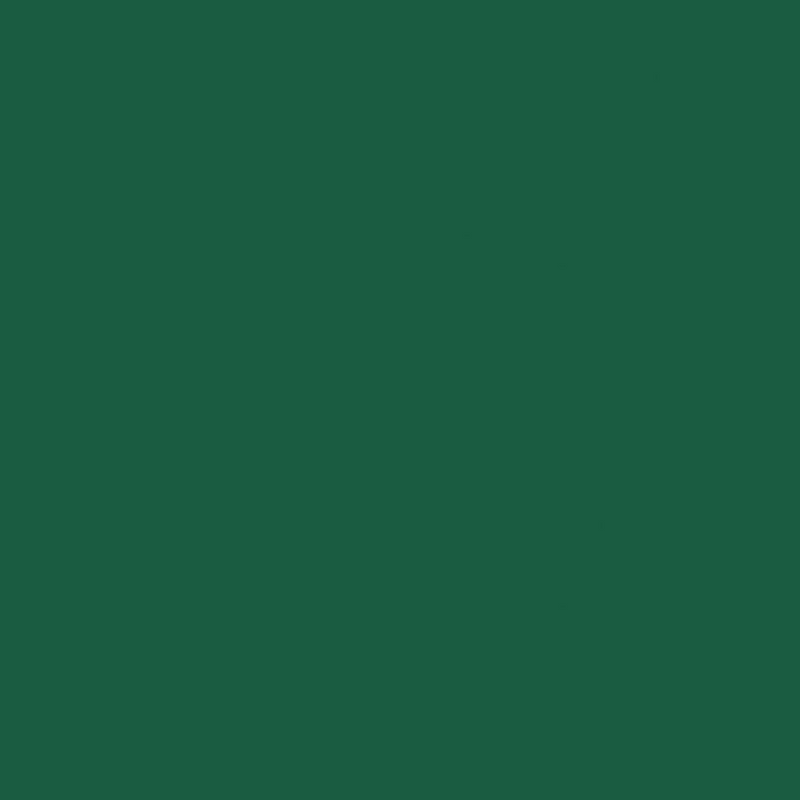 Serviettes Duni 33x33cm vert foncé