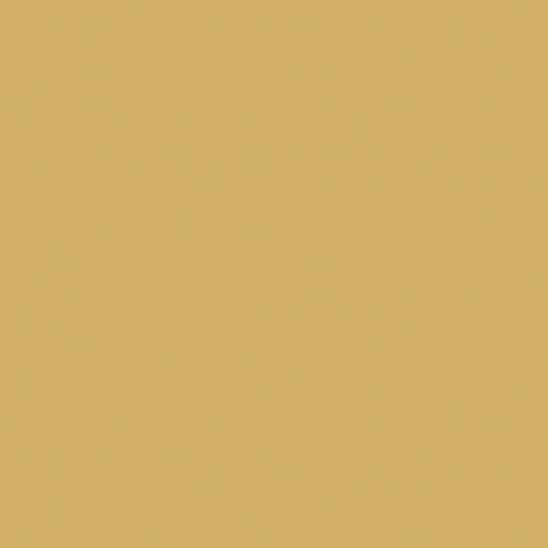 Serviettes Duni 33x33cm or