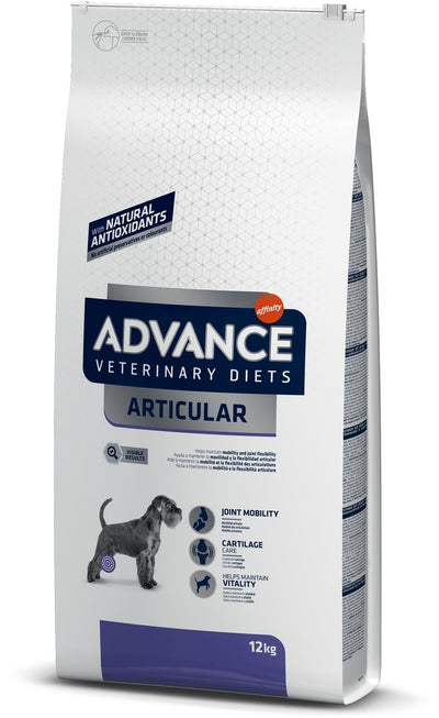 Advance des articulations articulaires de chien vétérinaire