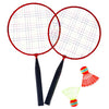Alert Sport Badmintonset Mini