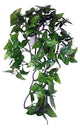 Plante de komodo philodendron