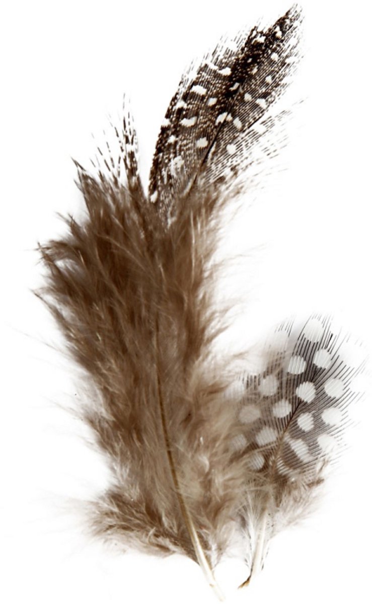 Plumes de pintade Creativ company, env. 100 pièces, marron, 3 g 1 boîte