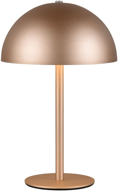Rl vis ta lumière réalité munoz - lampe de table - moka - incl. 1x SMD 1,3 W - Touch 4 étapes - Connexion USB - rechargeable - sans fil