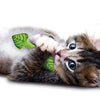 Petstagen Fresh Breath Mint Stick
