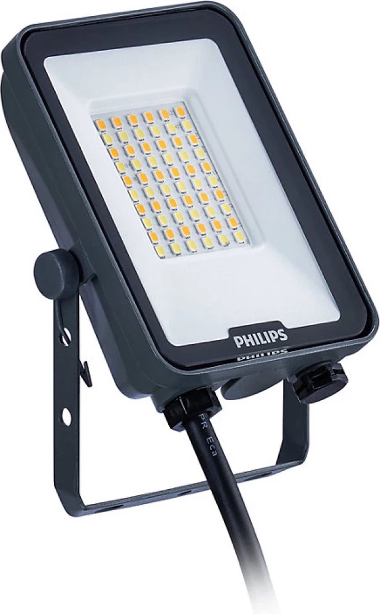 Philips led philips - projecteur led ledinaire bvp167 gris 30w 3600lm 40d - 830-840-865 | ip65 symétrique