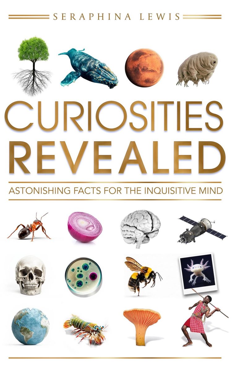 Curiosités révélées