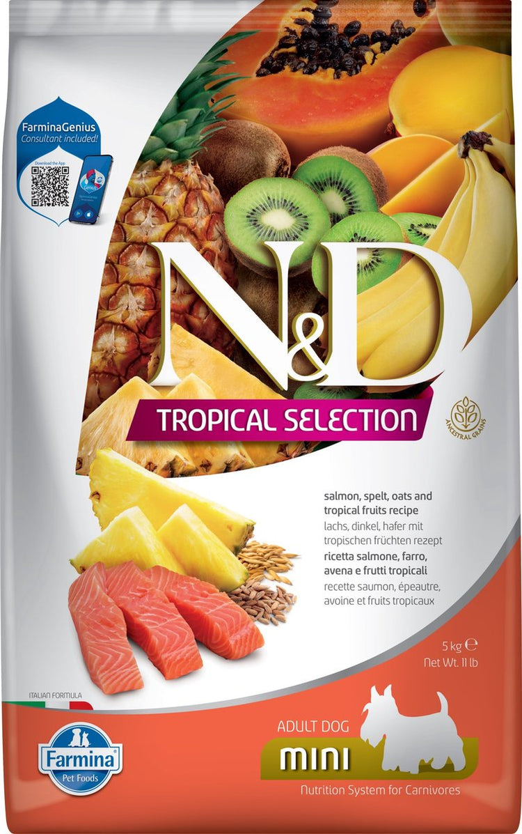 N d nourriture tropicale pour chien saumon petit large 5 kg