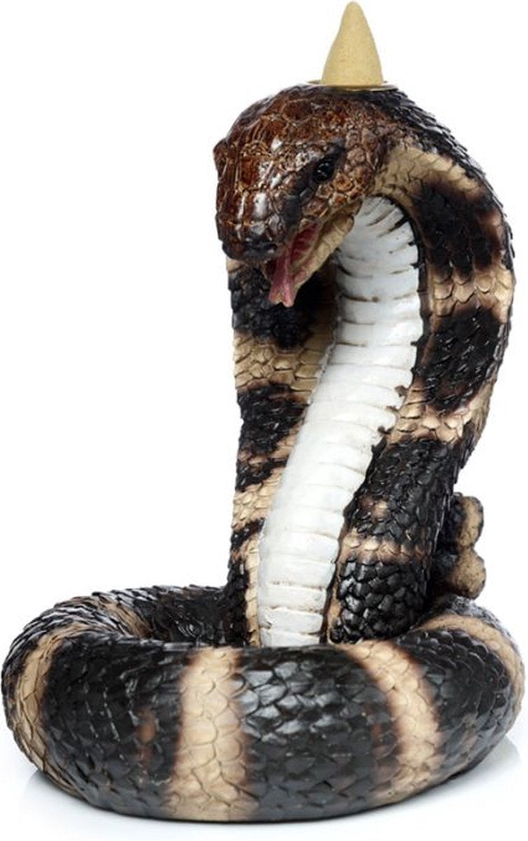 Porte-encens de reflux de tuyau de cobra roulé