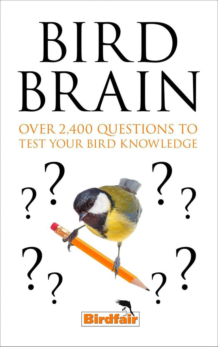 Cerveau d'oiseau