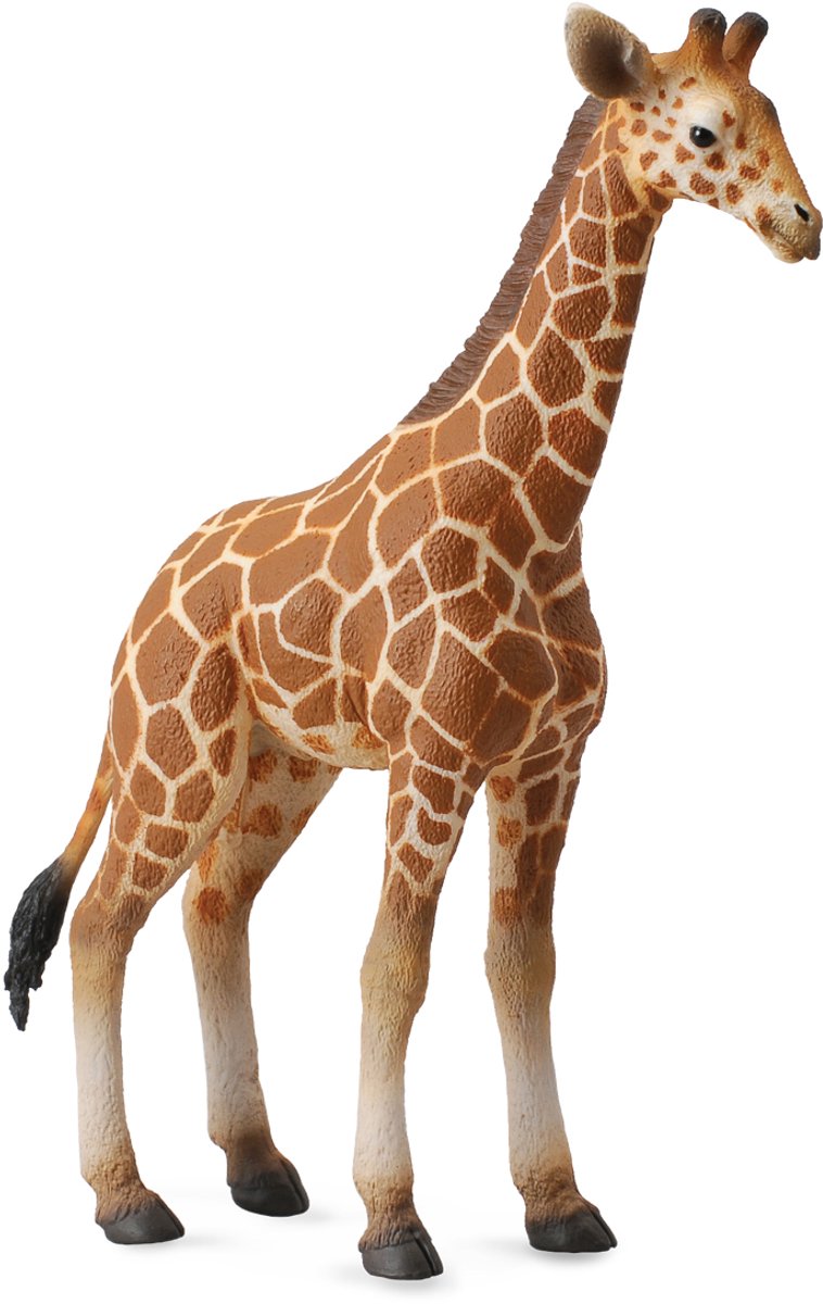 Figurine Collecta - veau girafe - (l) - animaux sauvages - peint à la main - miniature