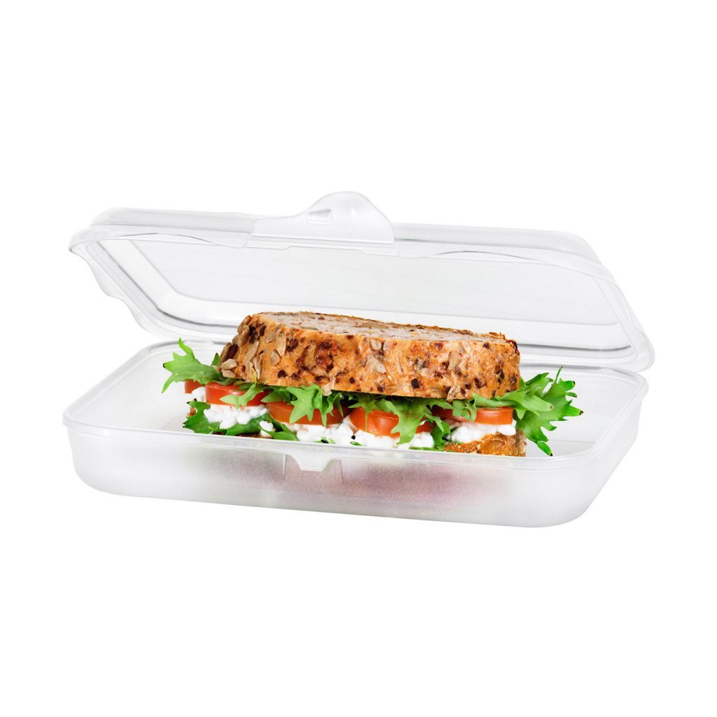 Rotho Fun Lunchbox 0,45L Transparent