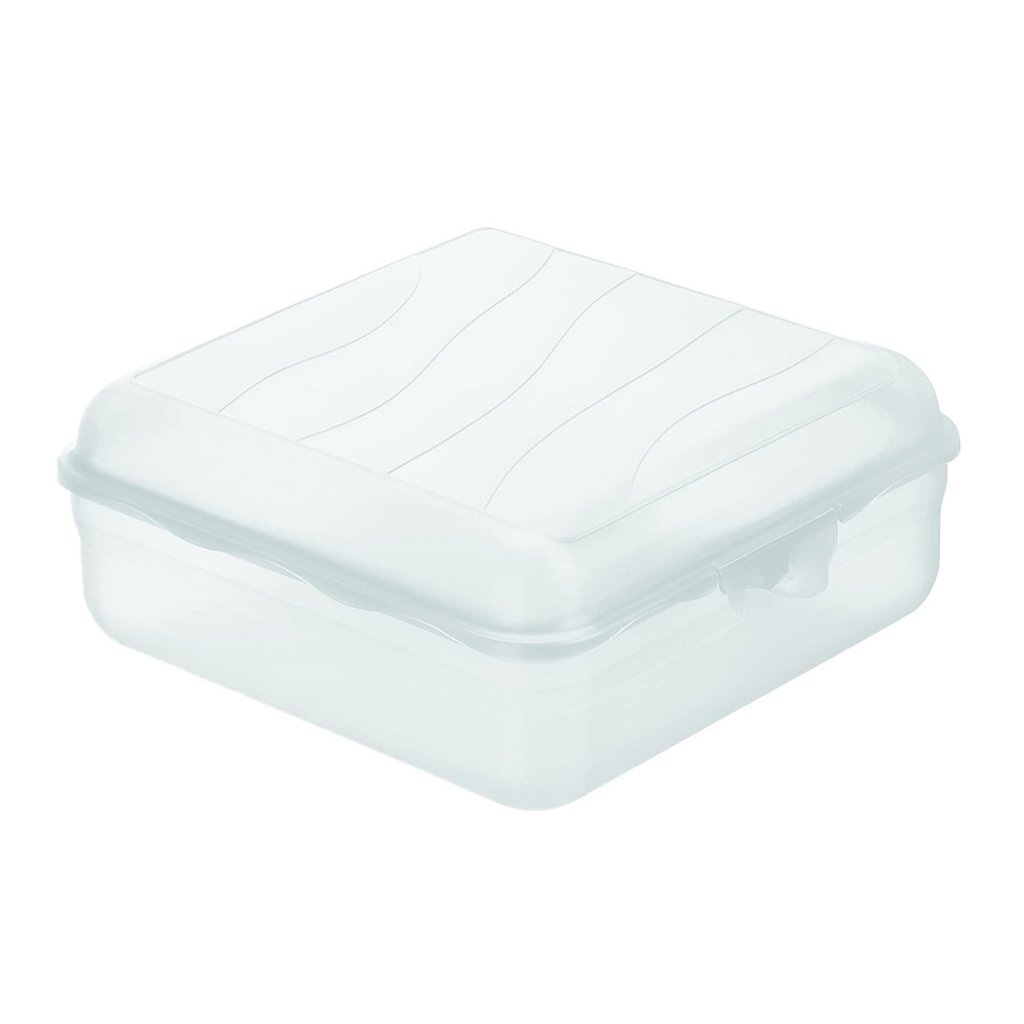 Rotho fun boîte à lunch carrée 2,35l transparent