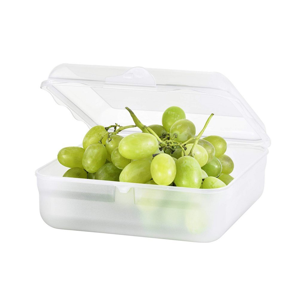 Rotho fun boîte à lunch carrée 2,35l transparent