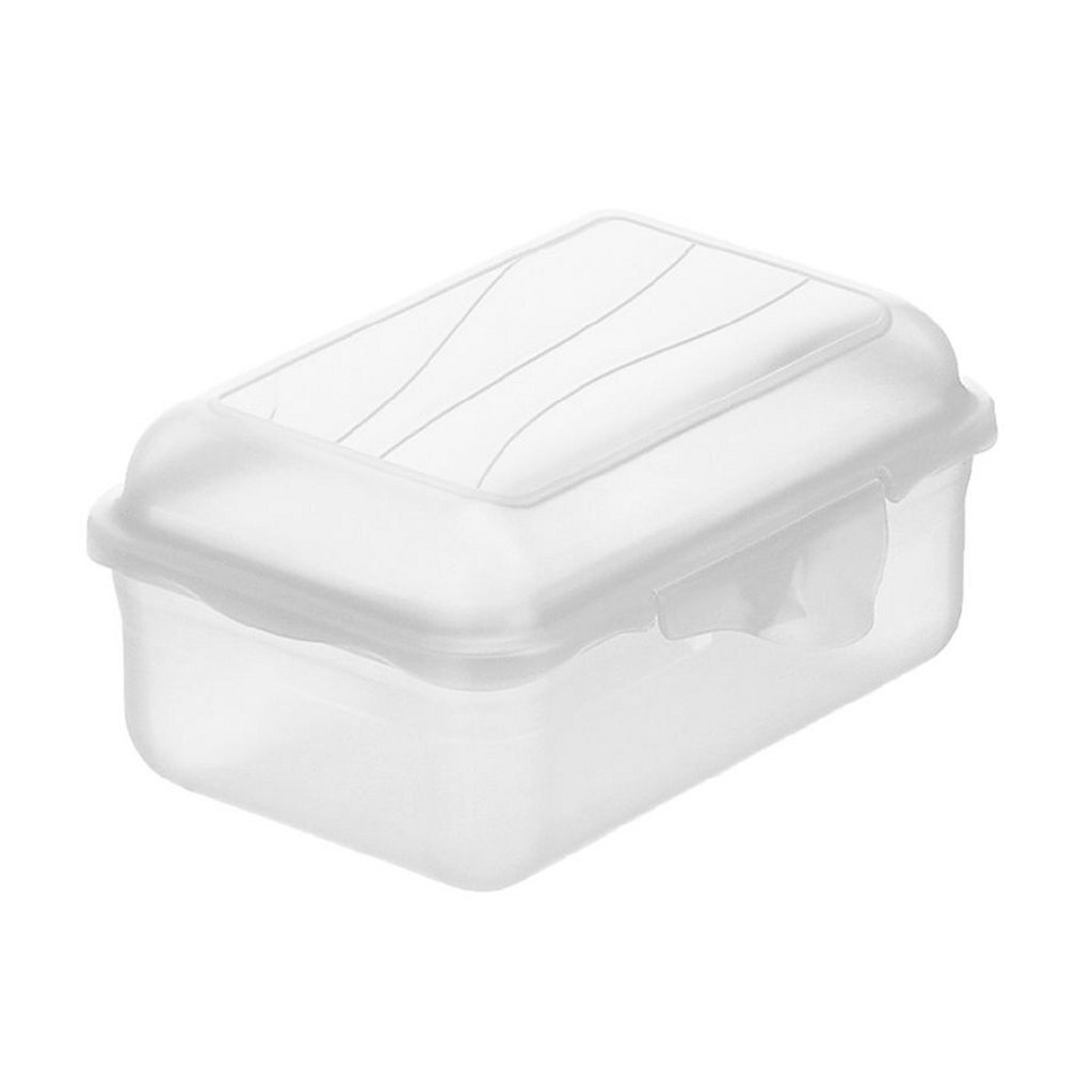 Rotho Fun Lunchbox 0,4L Transparent