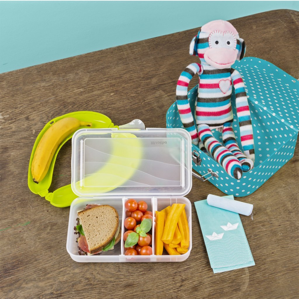 Rotho Fun Lunchbox avec des photos de division 1.7L Transparent
