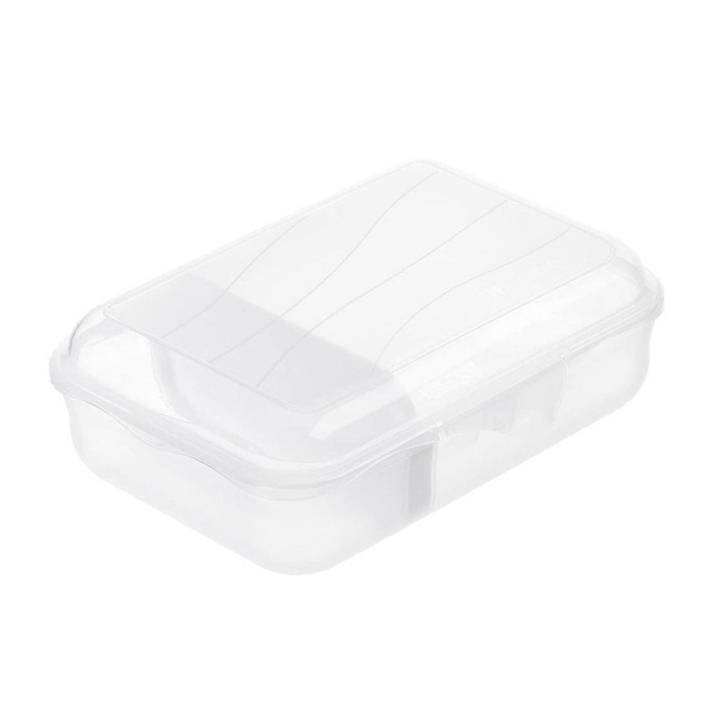 Rotho Fun Lunchbox avec division Shot 0,9 L Transparent