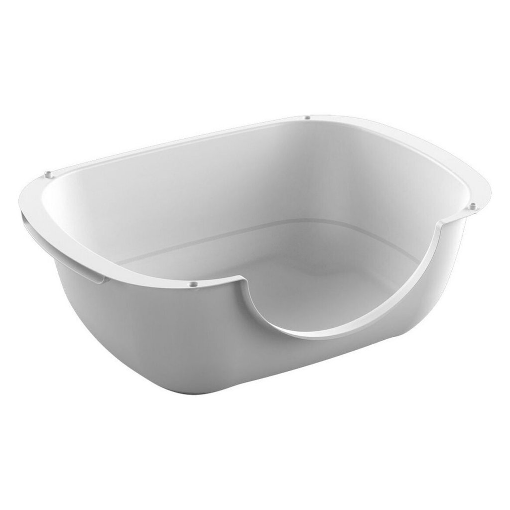 Rotho Bella Box 56x39.5x19 cm blanc