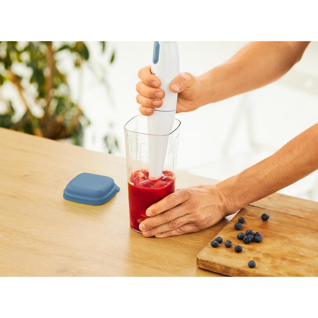 Rotho shaker avec presse 1 l loft horizon bleu