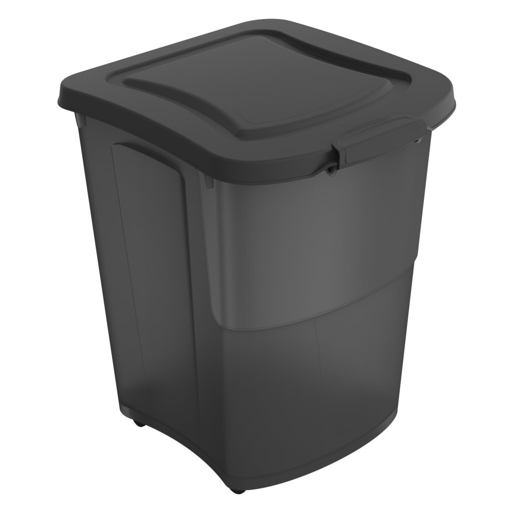 Rotho Rotho Archi Pet Food Container 38L Anthracite Transparent