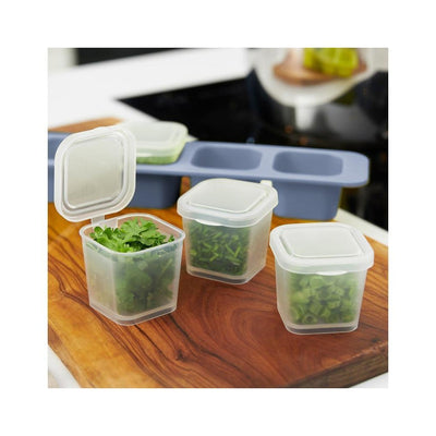 Rotho mini boîtes de congélation 4x0,05l bleu horizon transparent