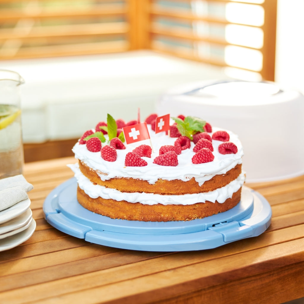 Rotho Rotho Fresho Cake Box Cool Horizon Bleu