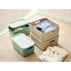 Rotho Decoration Storagebox Albula Light 12 L Mistletoe Green