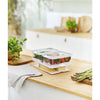 Rotho Rotho Cauma Set Fridge Organisateur 2.6L + 2x1.2L Transprant