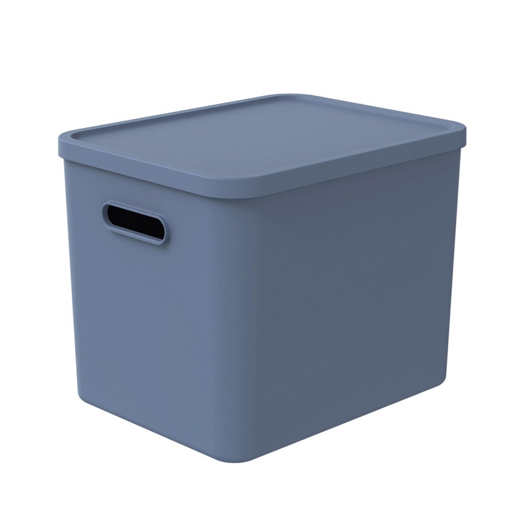 Rotho albula multibox 29,5x29x37 cm 27l bleu horizon
