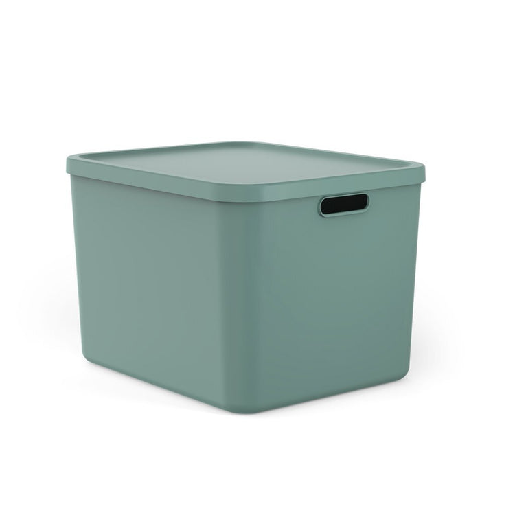 Rotho albula multibox 55l vert gui