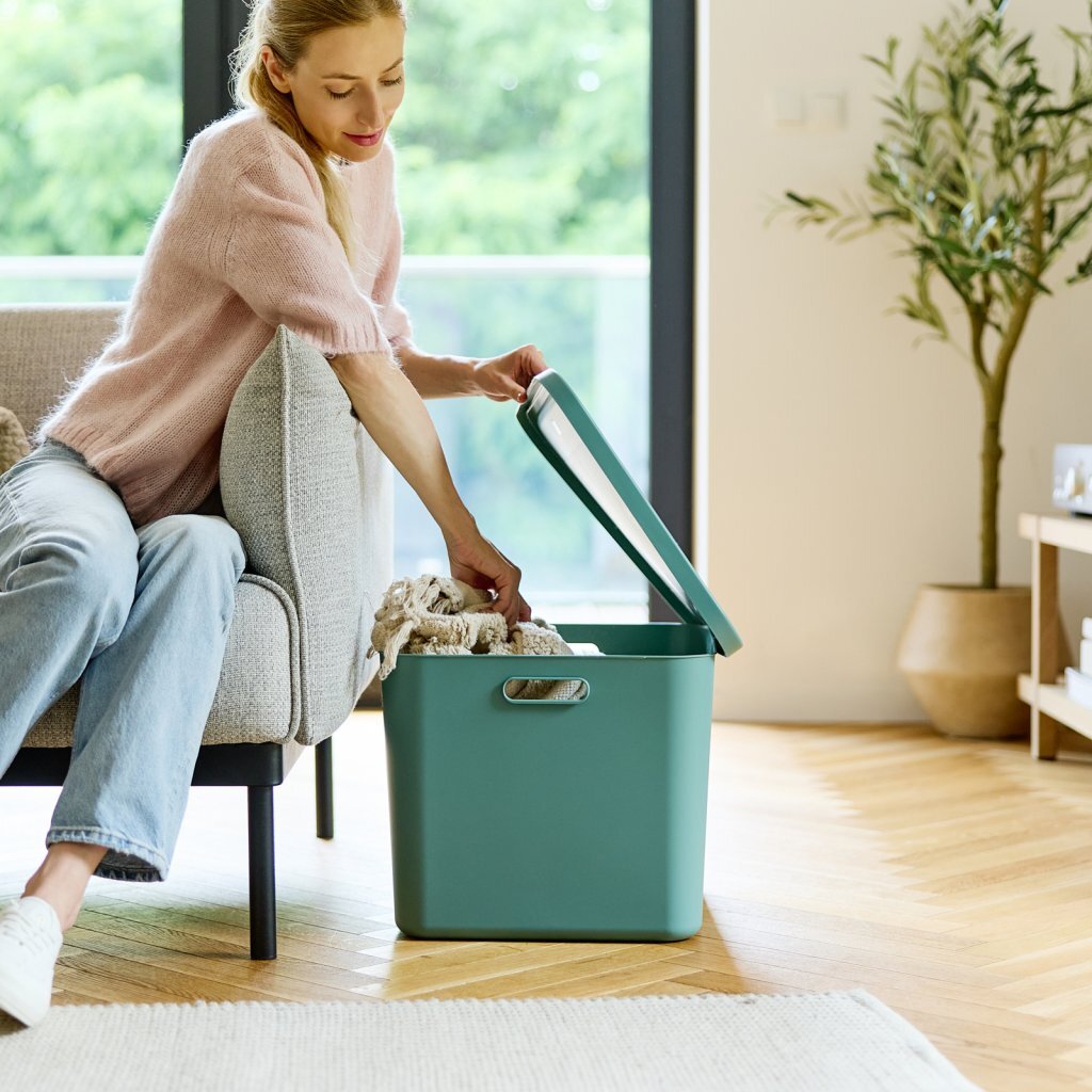 Rotho albula multibox 55l vert gui
