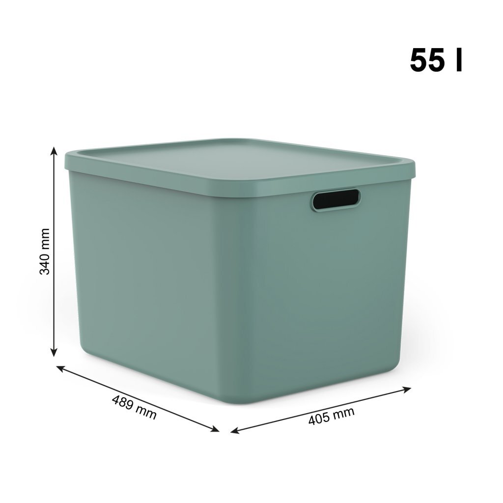 Rotho albula multibox 55l vert gui