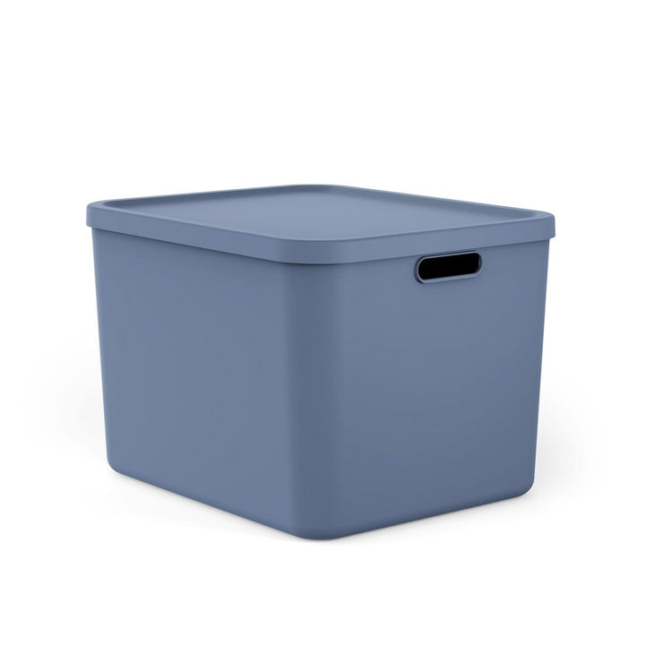 Rotho albula multibox 55l bleu
